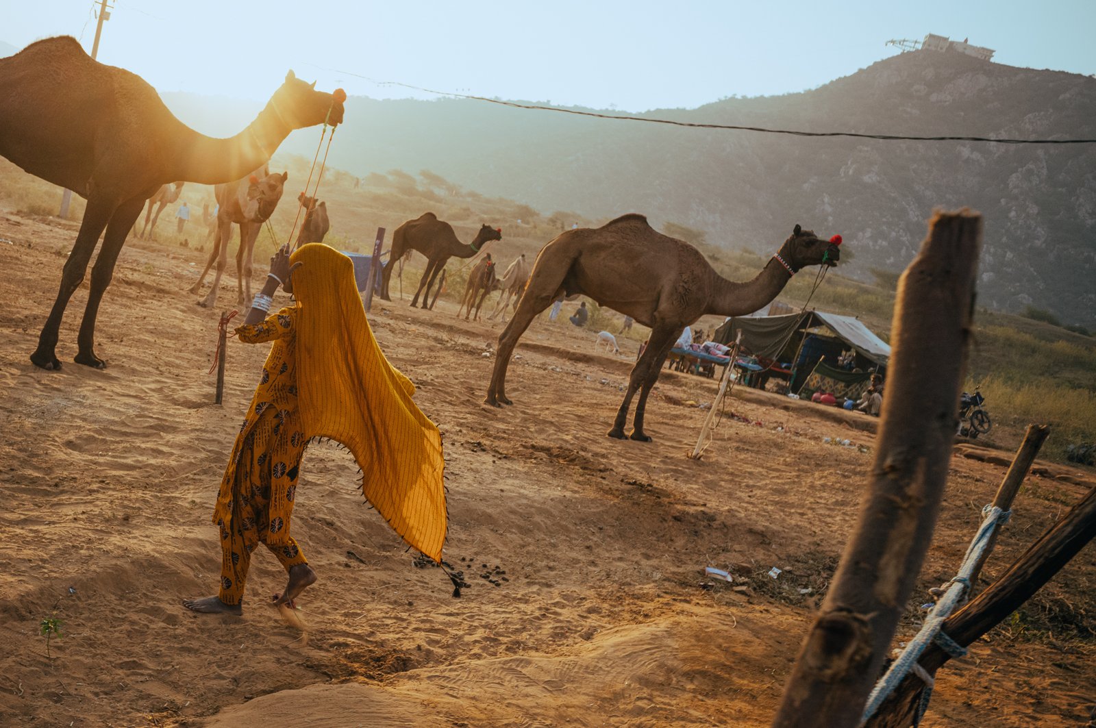 Pushkar