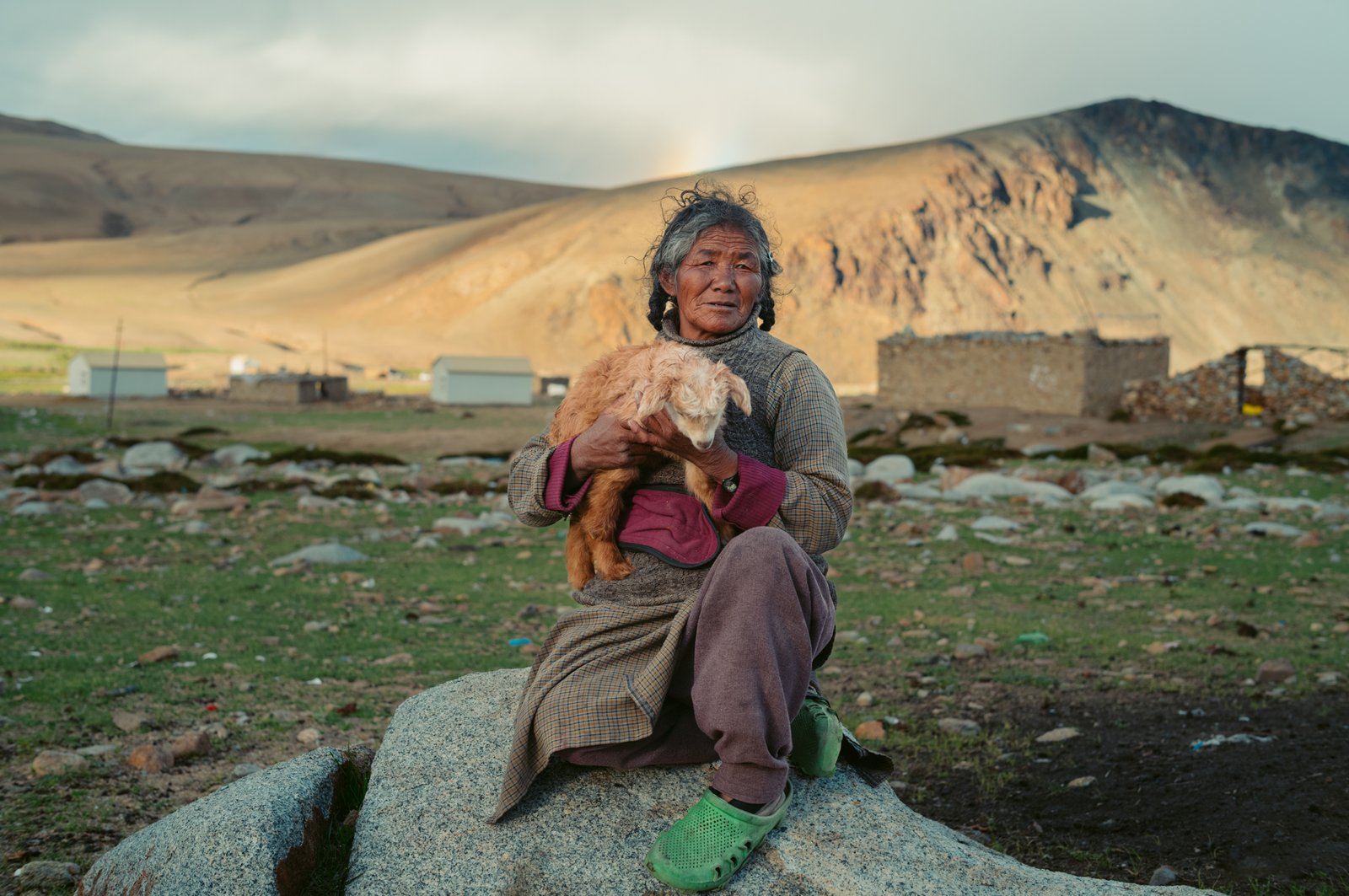 Changpa Tribe, Ladakh