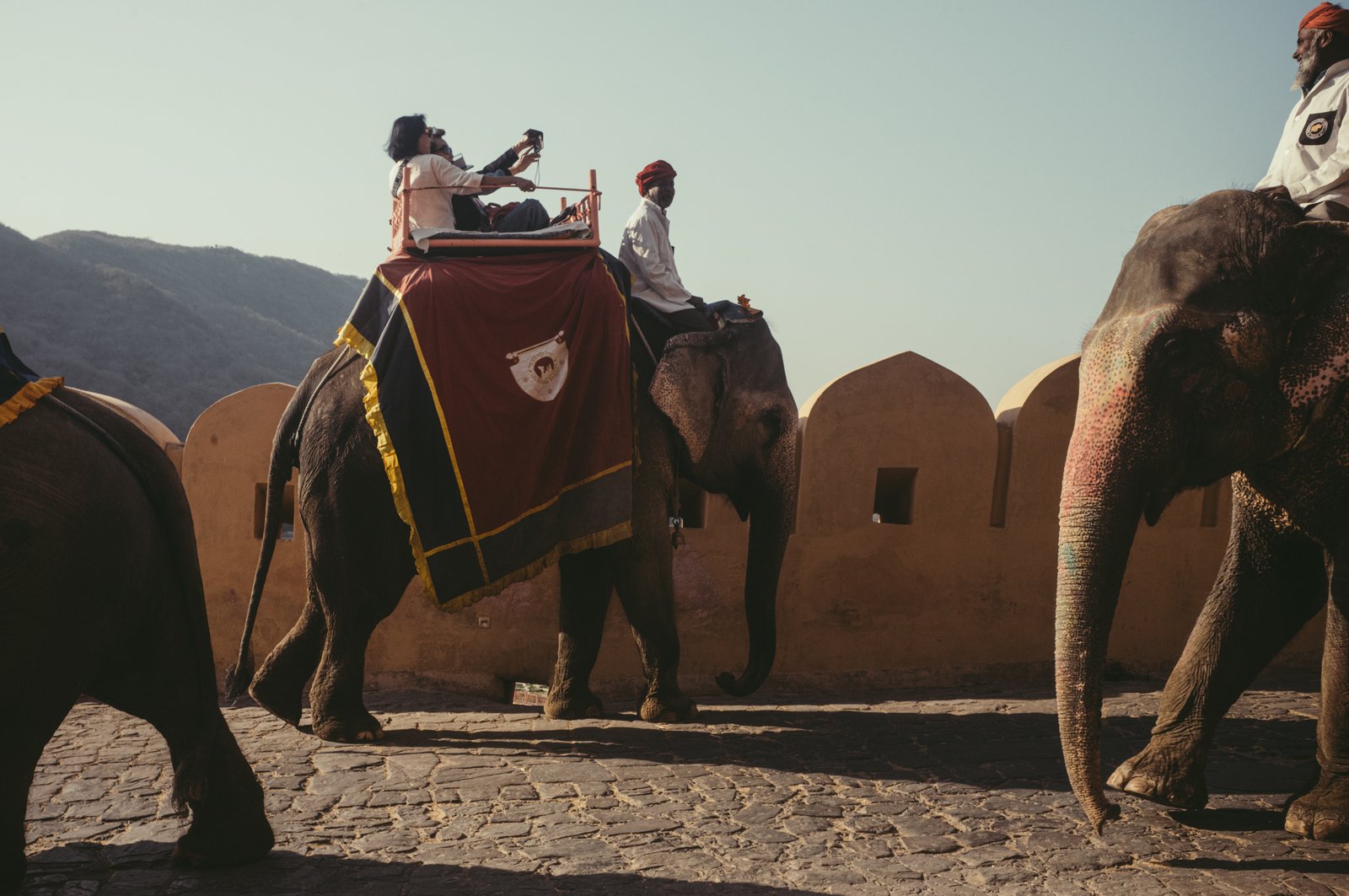 Elephants & The Ride